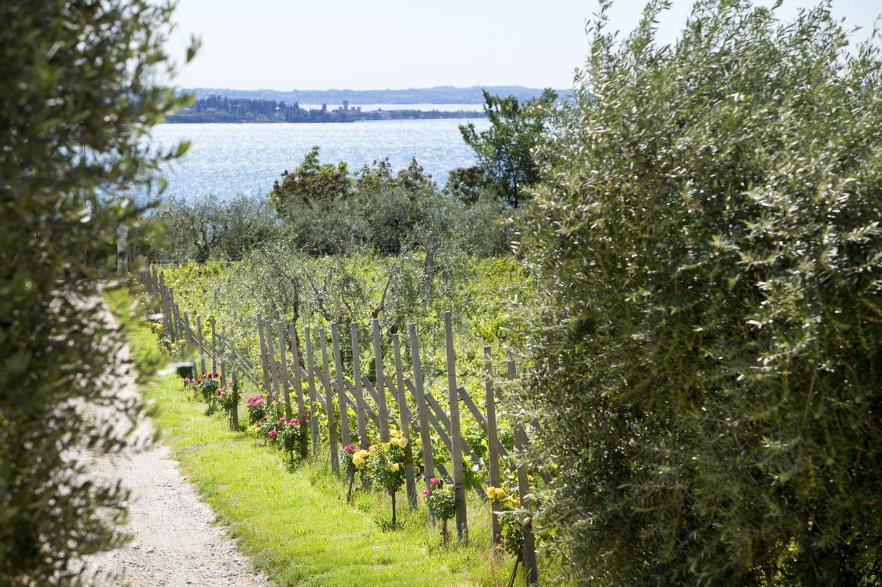 Agrigturismo Monte Cicogna Villa Moniga del Garda Kültér fotó