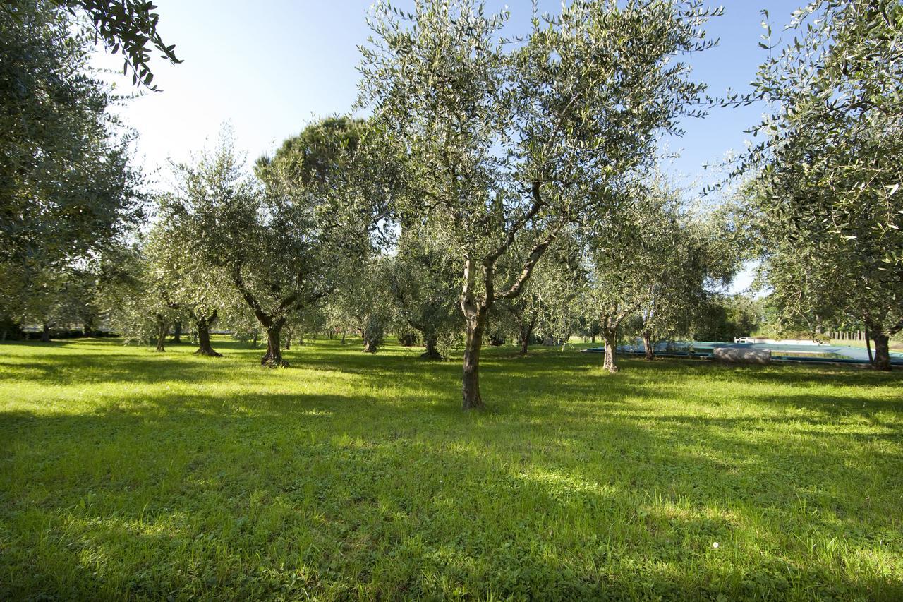 Agrigturismo Monte Cicogna Villa Moniga del Garda Kültér fotó