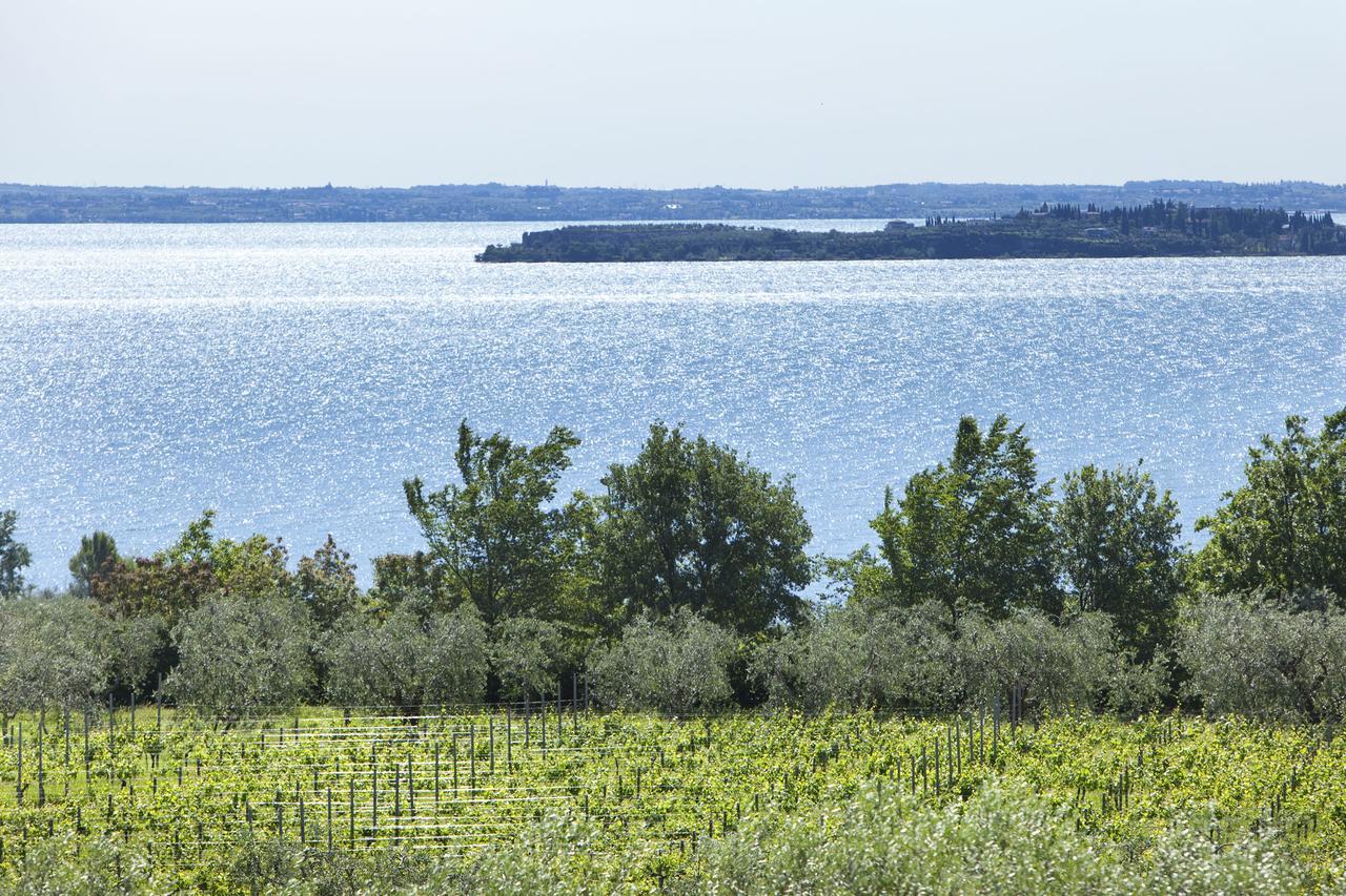 Agrigturismo Monte Cicogna Villa Moniga del Garda Kültér fotó