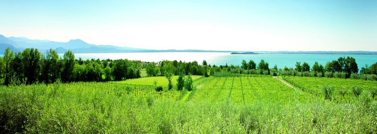 Agrigturismo Monte Cicogna Villa Moniga del Garda Kültér fotó